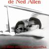 Les désarrois de Ned Allen - Photo 0