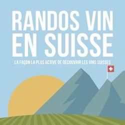 Randos vin en Suisse. La façon la plus active de découvrir les vins suisses - Photo zoomée