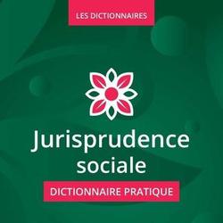Jurisprudence sociale. Dictionnaire Pratique, Edition 2022 - Photo zoomée