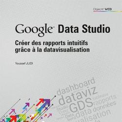 Google Data Studio. Créer des rapports intuitifs grâce à la datavisualisation - Photo 0