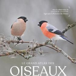 Le grand atlas des oiseaux. 150 espèces de toutes les régions de France - Photo 0
