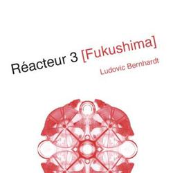 Réacteur 3 Fukushima - Photo zoomée