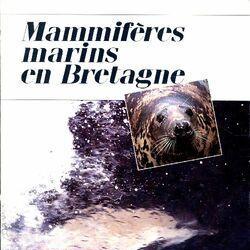 Mammifères marins en Bretagne - Photo zoomée