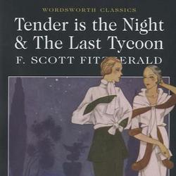 Tender is the Night and the last Tycoon. Edition en anglais - Photo zoomée