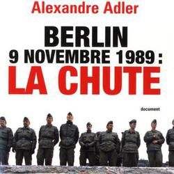 Berlin, 9 Novembre 1989 : la chute - Photo zoomée