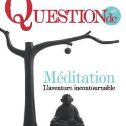 Question de N° 1 : Méditation. L'aventure incontournable - Photo zoomée