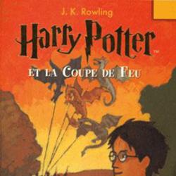 Harry Potter Tome 4 : Harry Potter et la Coupe de Feu - Photo zoomée