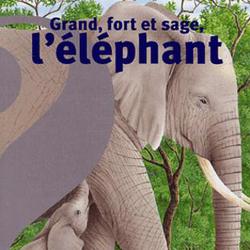 Grand, fort et sage, l'éléphant - Photo zoomée