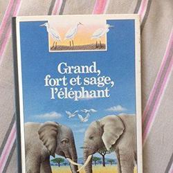 Grand, fort et sage, l'éléphant - Pierre Pfeffer - Photo zoomée