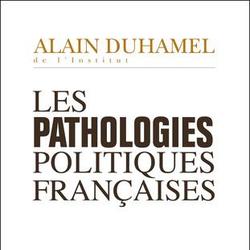 Les pathologies politiques francaises - Photo zoomée