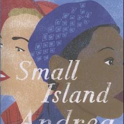 Small Island. Edition en anglais - Photo zoomée
