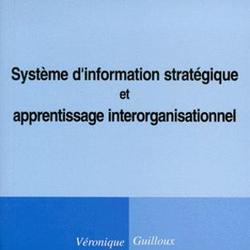 Système d'information stratégique et apprentissage interorganisationnel - Photo zoomée