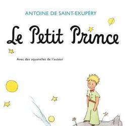 Le Petit Prince - Photo zoomée