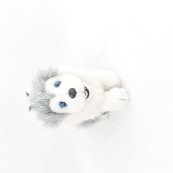 Chien husky en peluche  - Photo zoomée