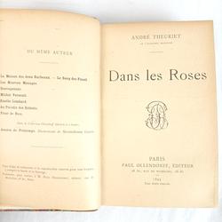 Livre ancien "Dans les roses", André Theuriet - éditeur Paul Ollendorff, 1899 - Photo 1