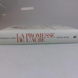 La promesse de l'aube de Romain Gary illustré par Joann Sfar - Gallimard - Photo 1