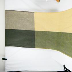 Echarpe laine vert pastel beige - Photo 1