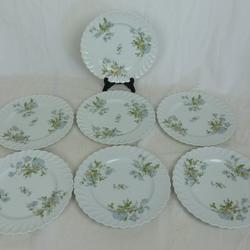 Lot de 6 assiettes en porcelaine de Limoges de la marque Haviland - Photo 0