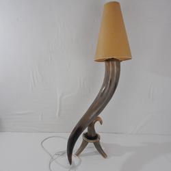 Grand lampe en corne de buffle - Photo 1
