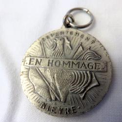 Médaille " En hommage du 11 nov 1918, Département Nièvre " Nov 1968 - Photo 1