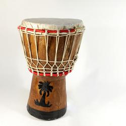 bongo  - Photo 1