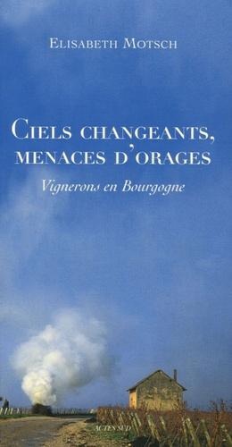 Ciels changeants, menaces d'orages. Vignerons en Bourgogne - Photo 0