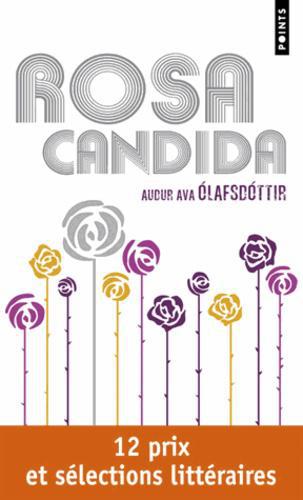 Rosa Candida - Photo 0